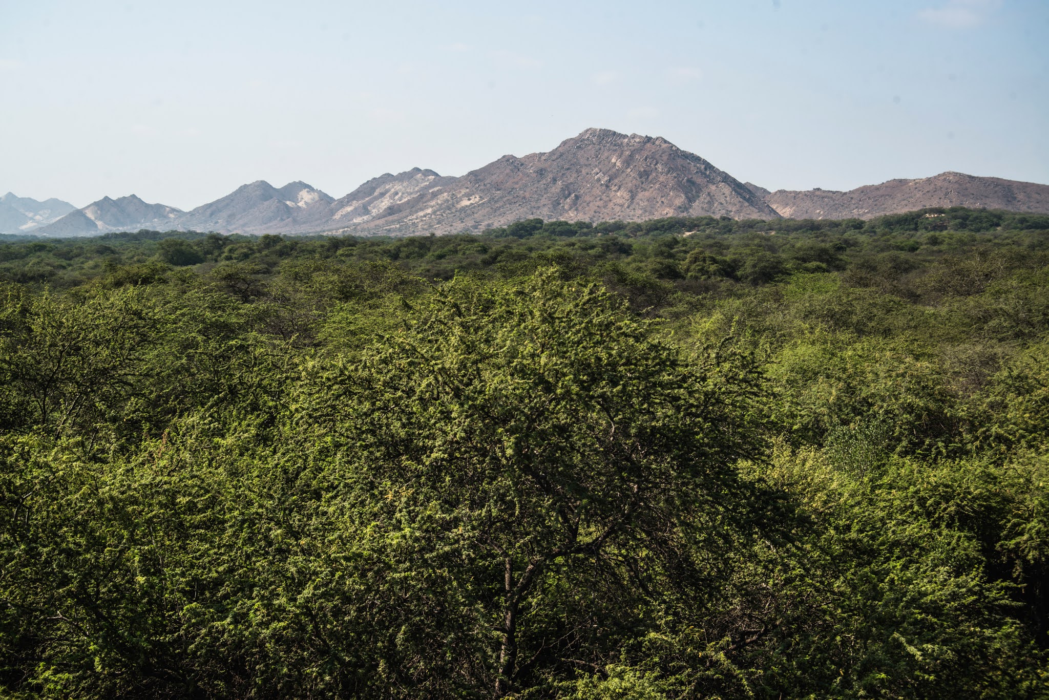 Lambayeque: Tierra de soberanos, pirámides y bosque - Lambayeque