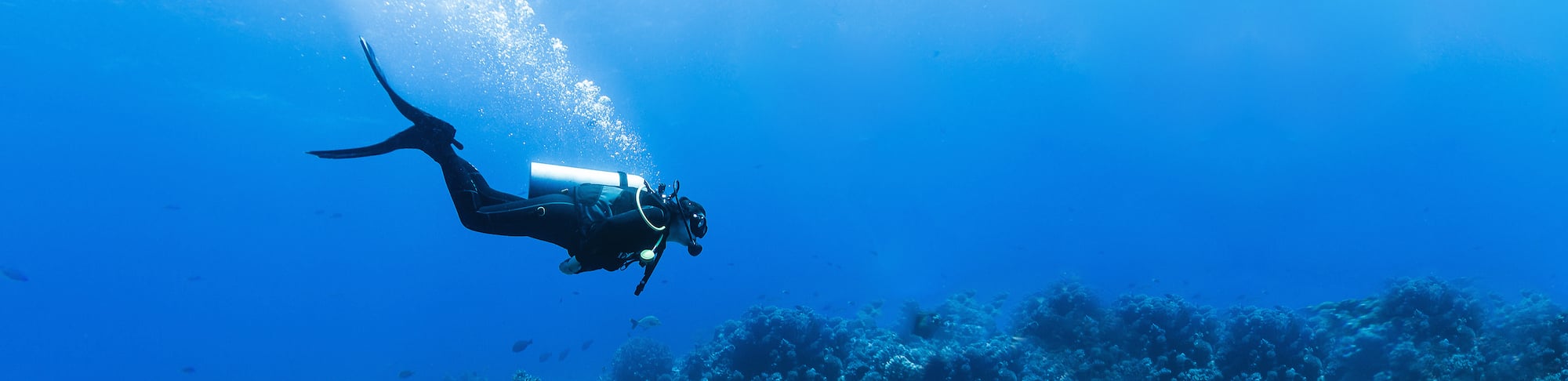 Mini Curso de Buceo